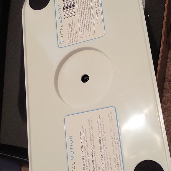 Hummingbird - Picture 6 of 6